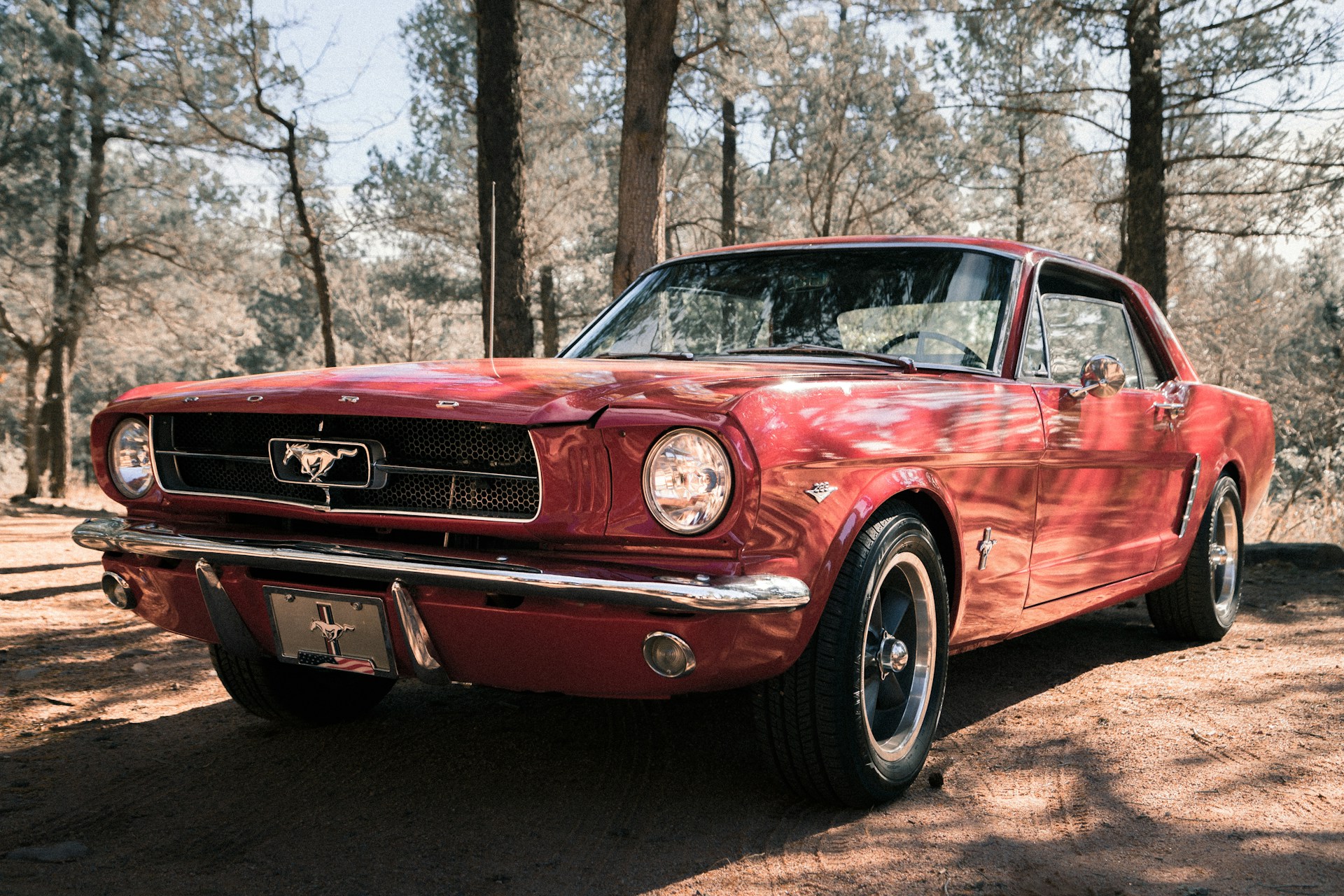 Rode klassieke Ford Mustang op een bospad, klaar voor taxatie